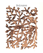 Boisures